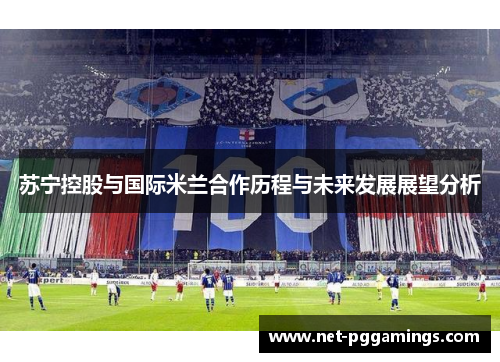 苏宁控股与国际米兰合作历程与未来发展展望分析 苏宁控股与国际米兰合作历程与未来发展展望分析